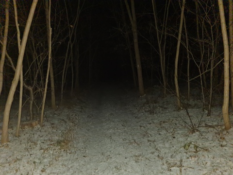 pic