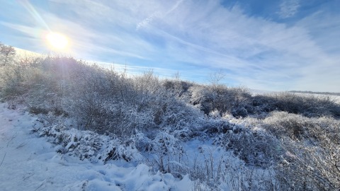 pic