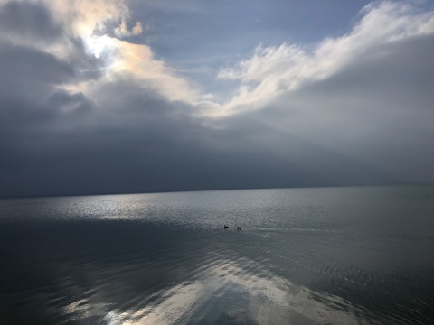 pic