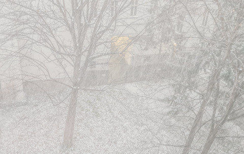 pic
