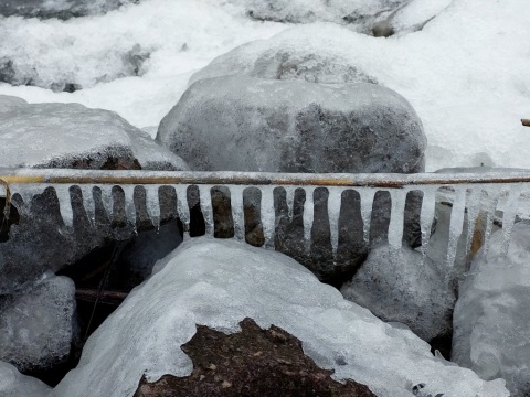 pic