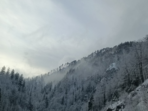 pic