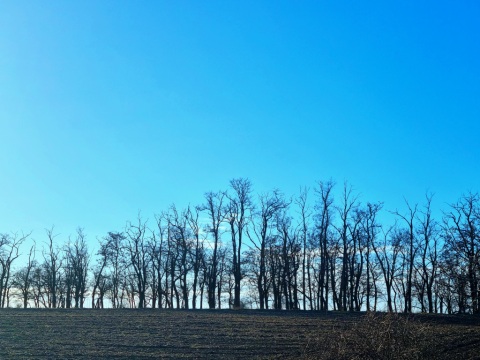 pic