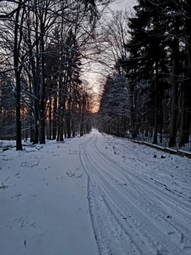 pic