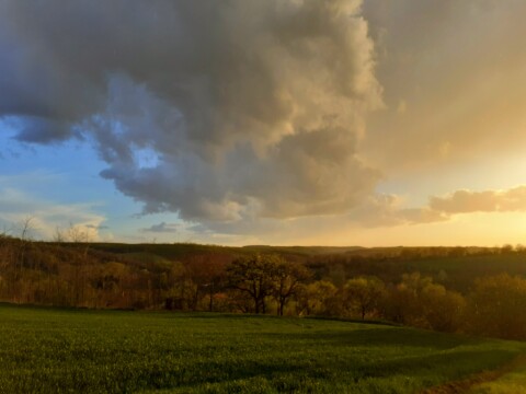 pic