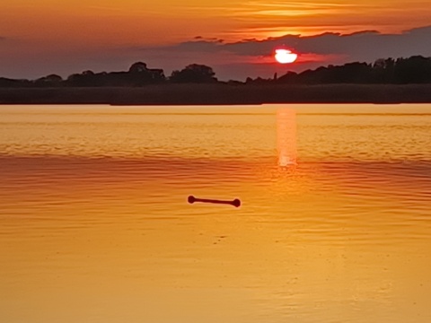 pic
