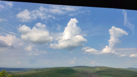 pic