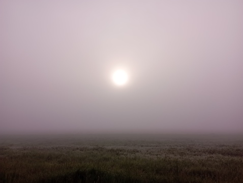 pic