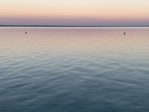 pic