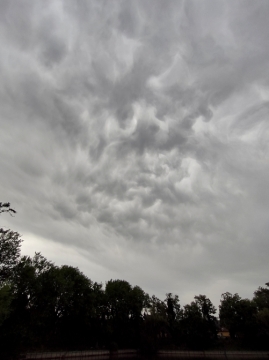 pic