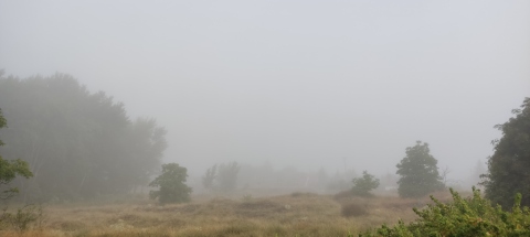 pic