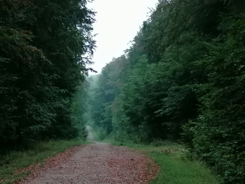 pic