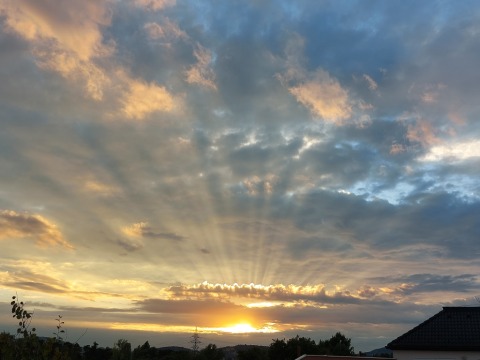 pic