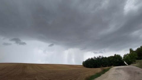 pic
