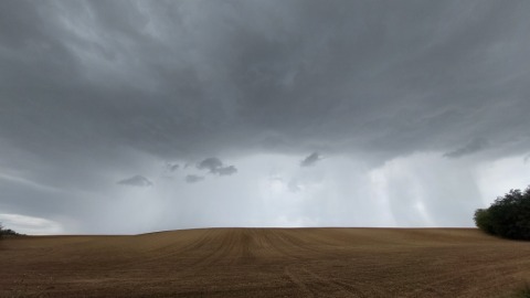 pic