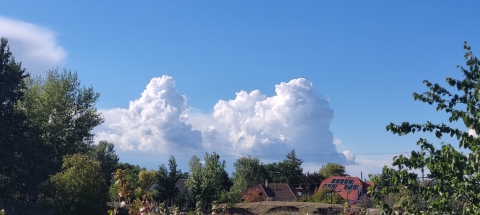 pic