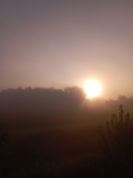pic