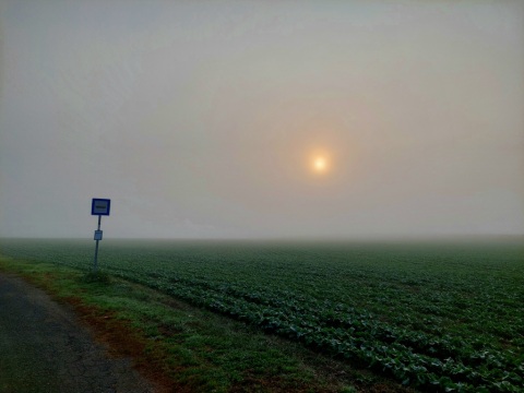 pic