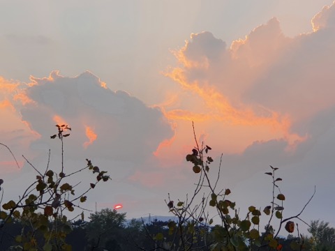 pic