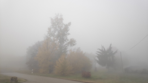 pic