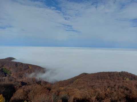 pic