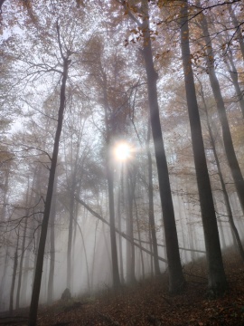 pic