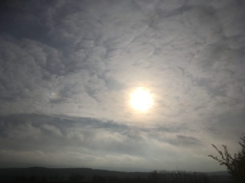 pic