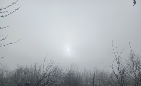 pic