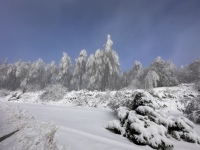 pic
