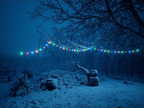 pic