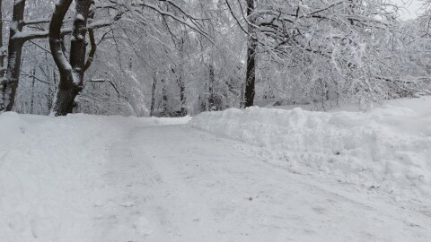 pic