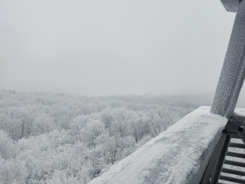 pic