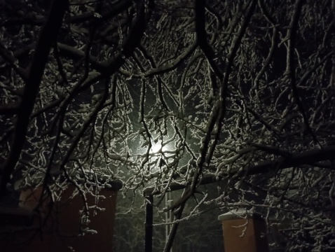 pic