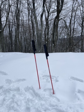 pic