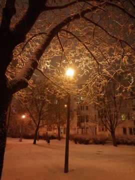 pic