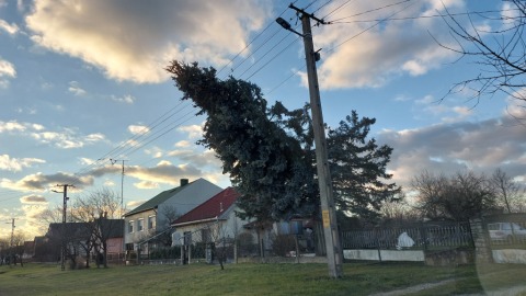 pic