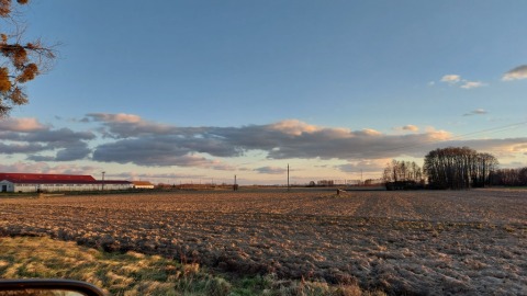 pic