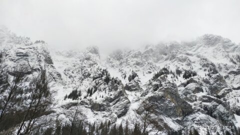 pic