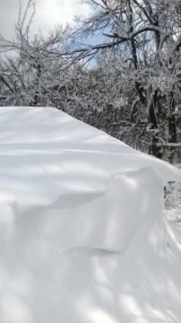 pic