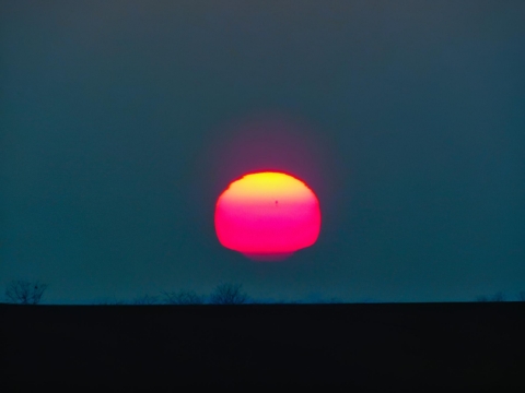pic