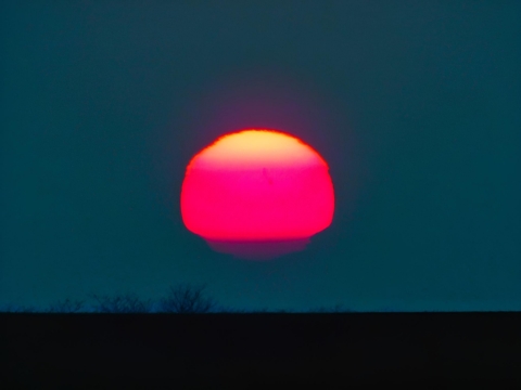 pic