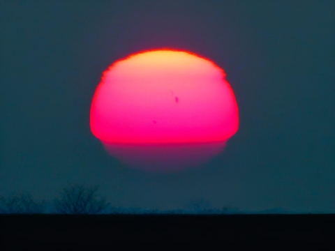 pic
