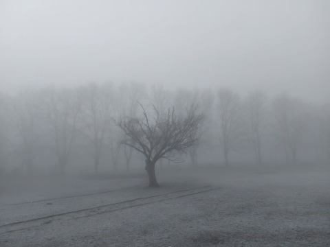 pic