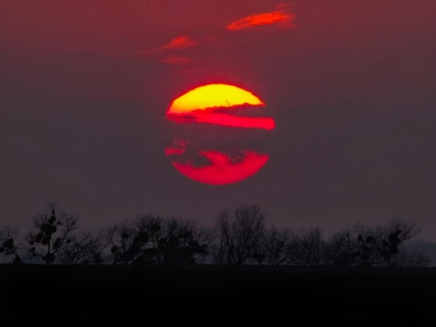 pic