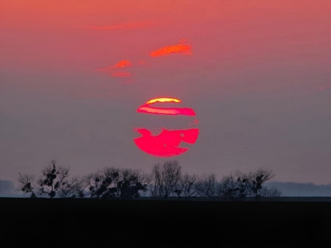 pic