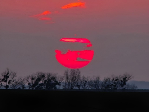 pic