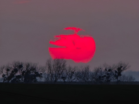 pic