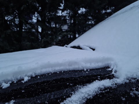 pic