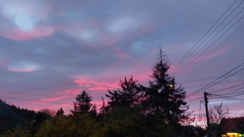 pic